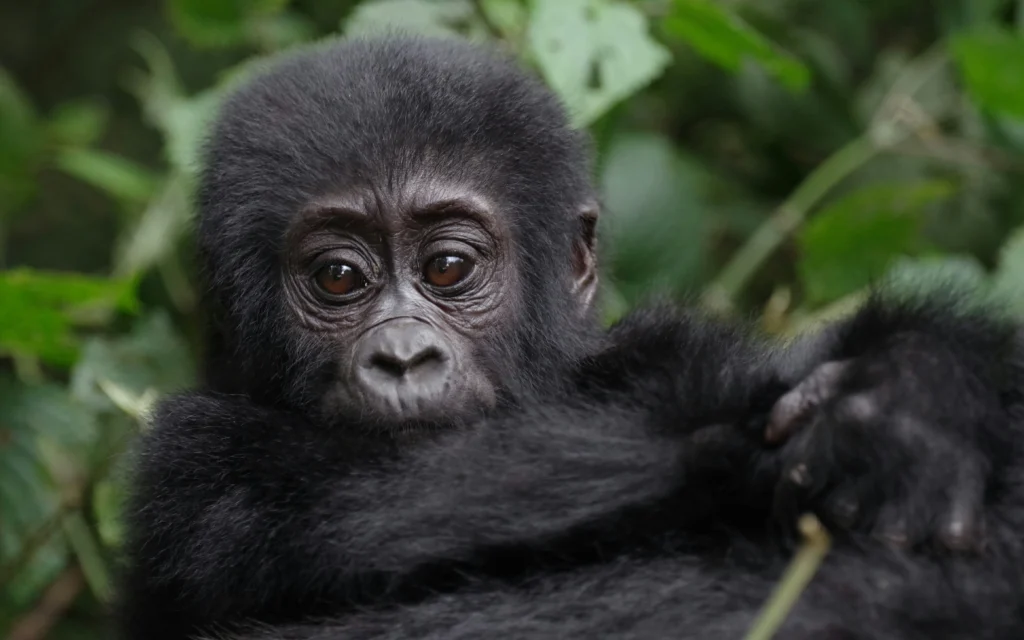 bob-brewer-lV5PT7R-RuE-unsplash