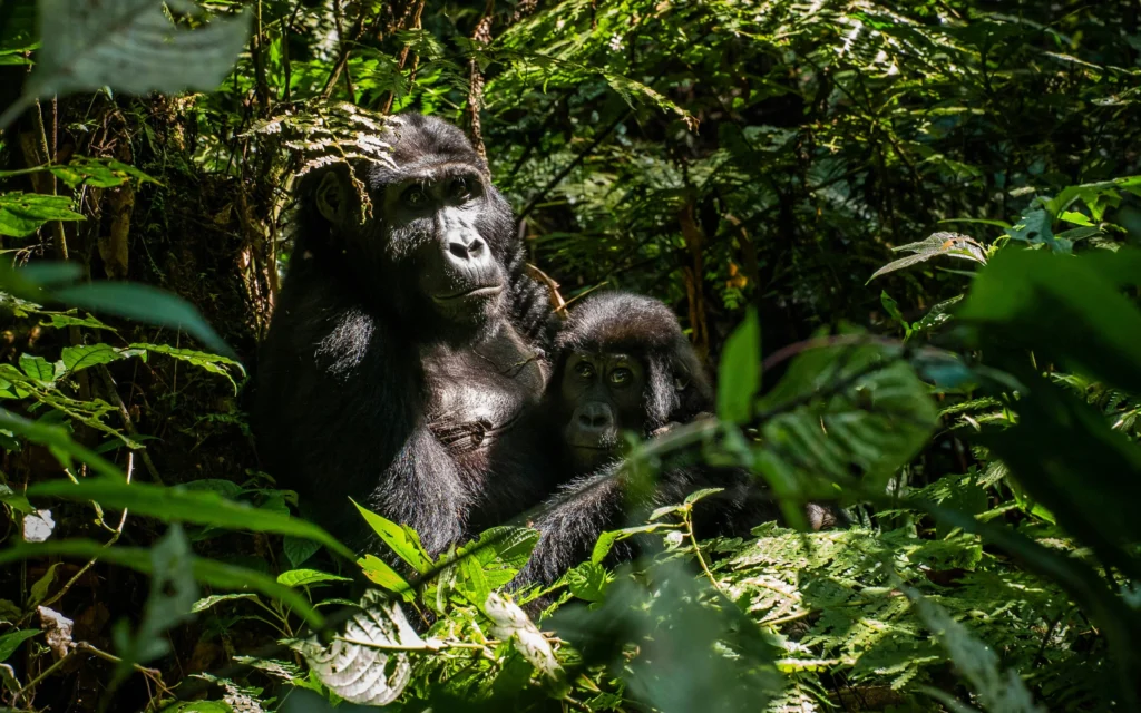 2h-media-zynEHxCEM0M-unsplash