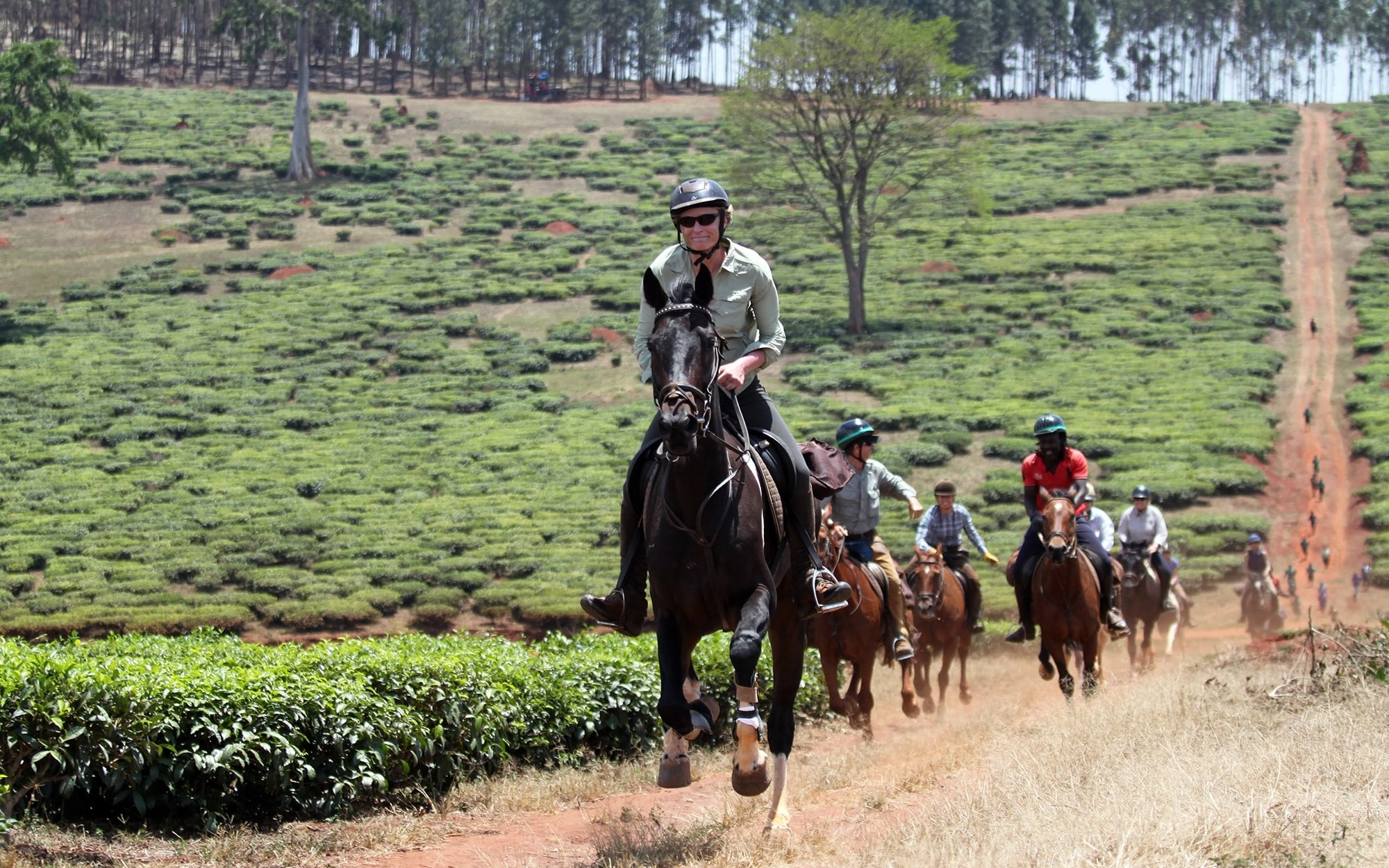 Horse-Riding-7-min-adrift Horse-Riding-7-min-adrift