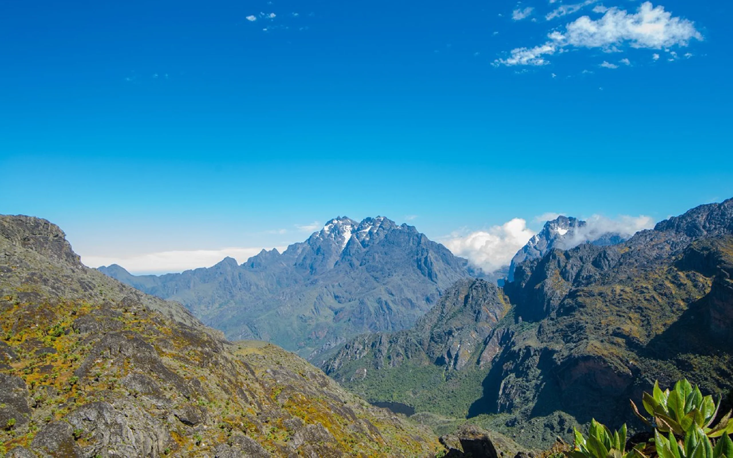 Rwenzori Mtns by SsebuumaIvan Rwenzori Mtns by SsebuumaIvan