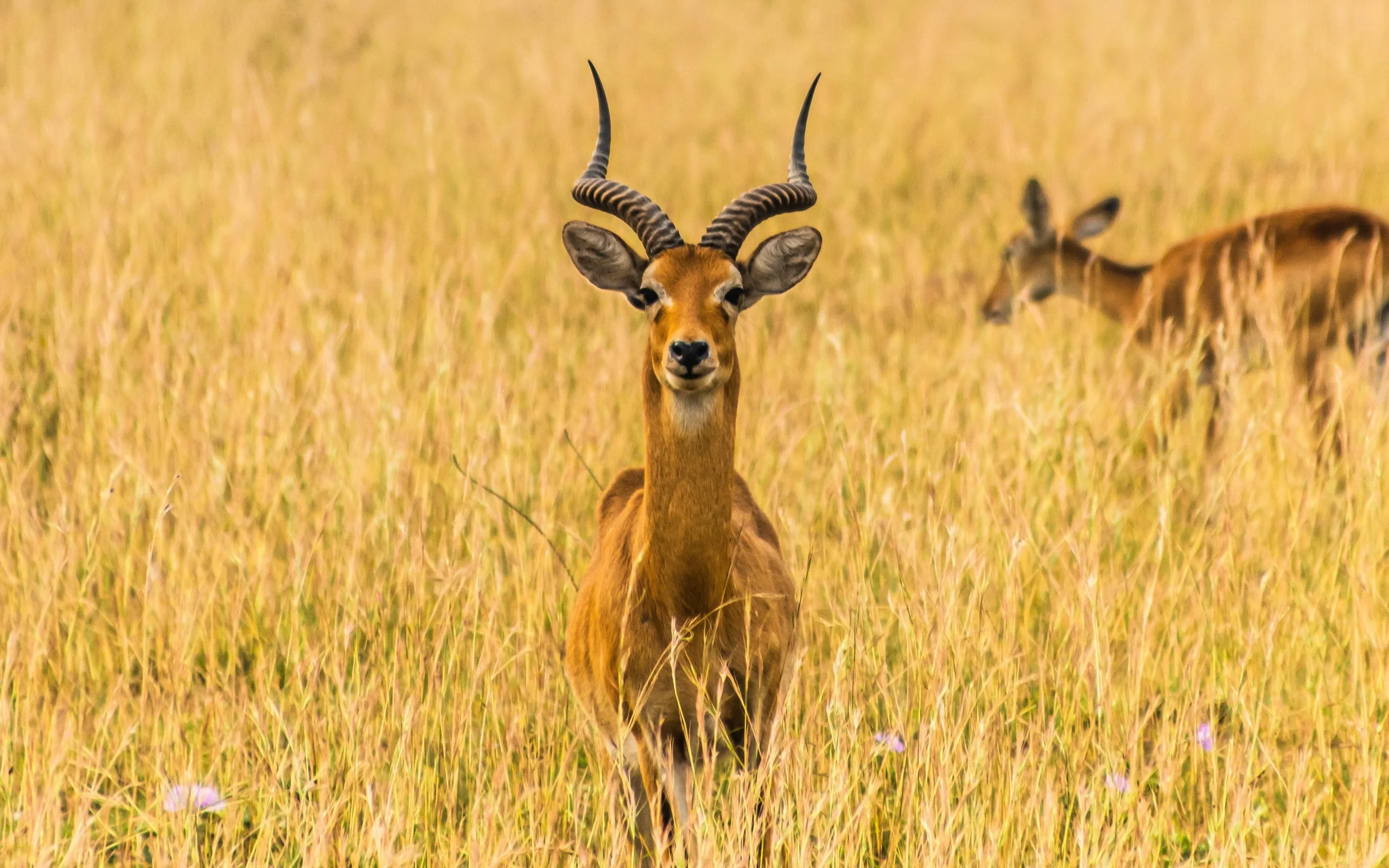 andrew-s-h5vMnGRk7os-unsplash