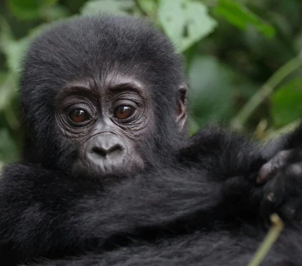 bob-brewer-lV5PT7R-RuE-unsplash