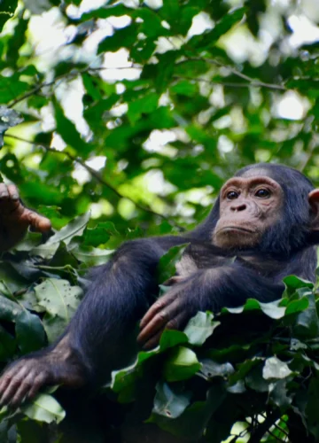 fabiana-rizzi-XQZv-zYOFyM-unsplash