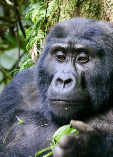 gabriel-schumacher-kcKJTpYTdIQ-unsplash