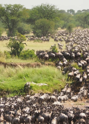 jorge-tung-1pZJqQlgpsY-unsplash