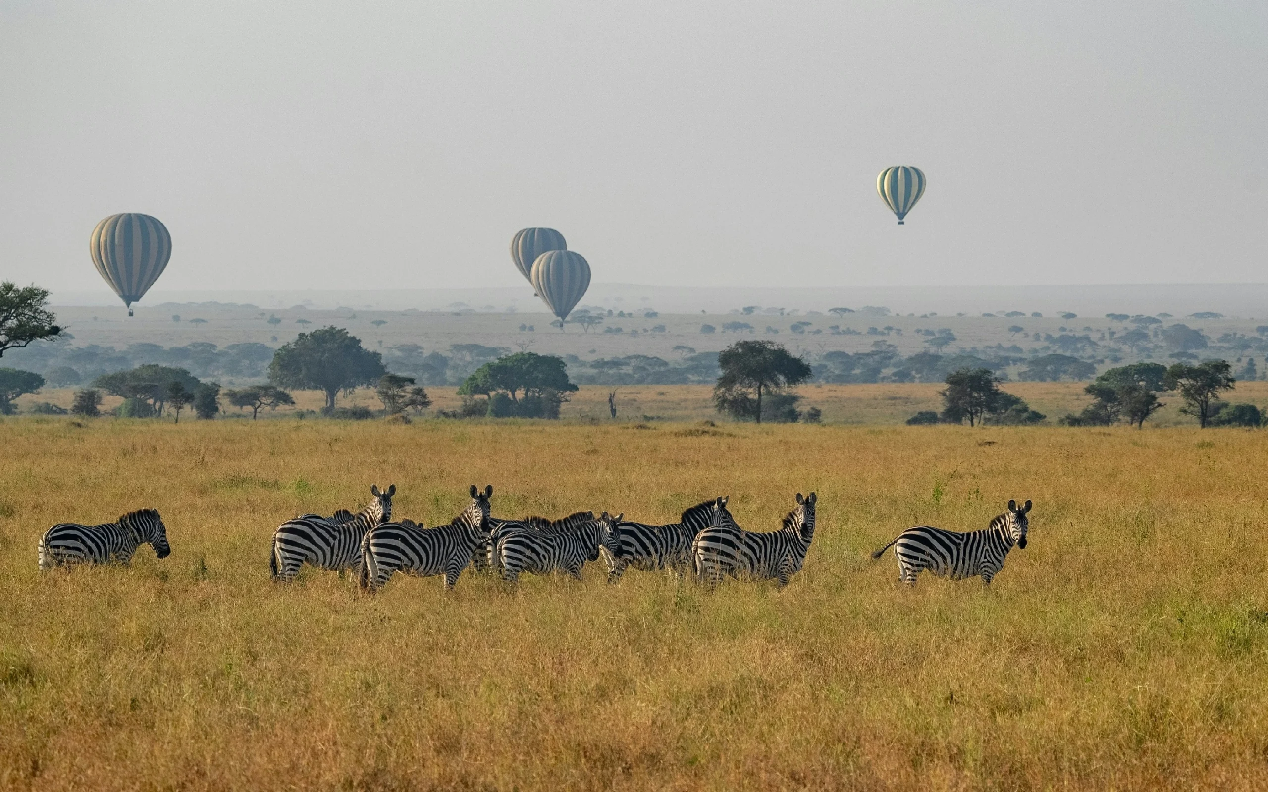 mana5280-sTEI0bslWZU-unsplash