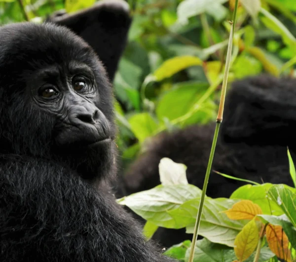 max-christian-sMjVNtvYkD0-unsplash