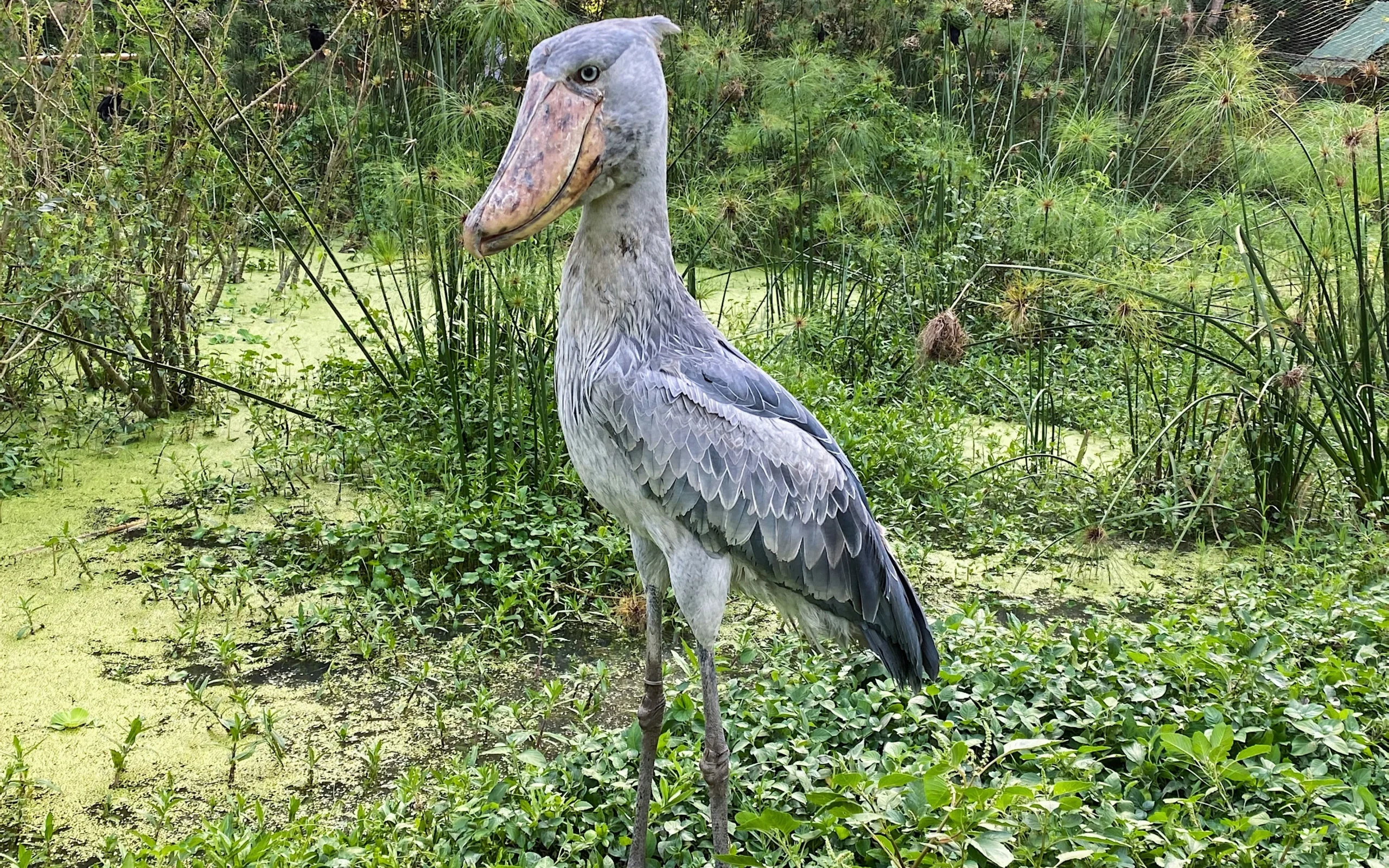 melissa-askew–OOGt3Yede0-unsplash melissa-askew--OOGt3Yede0-unsplash