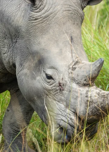 nathalie-lays-9ttqxMYR6eo-unsplash