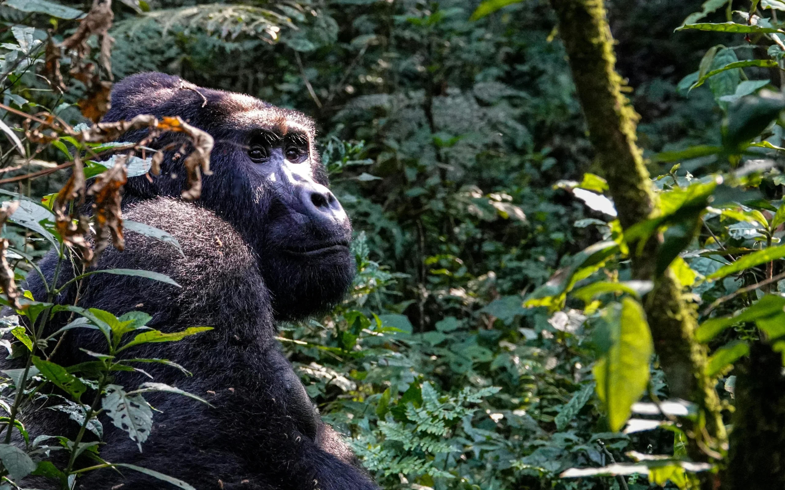 nathalie-lays-Lb65e5jMBMo-unsplash