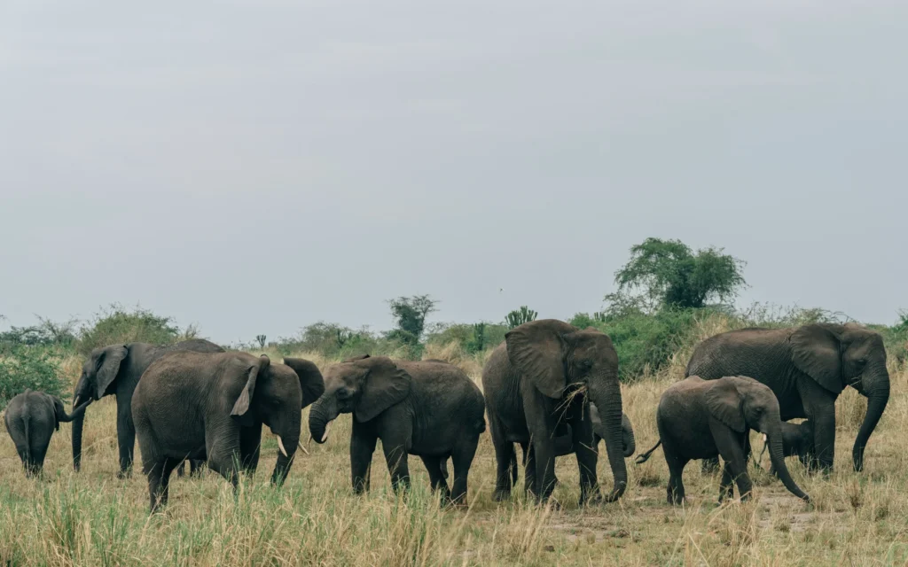 random-institute-QGlSeNMsLxk-unsplash