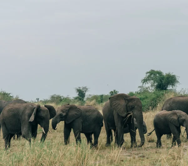 random-institute-QGlSeNMsLxk-unsplash