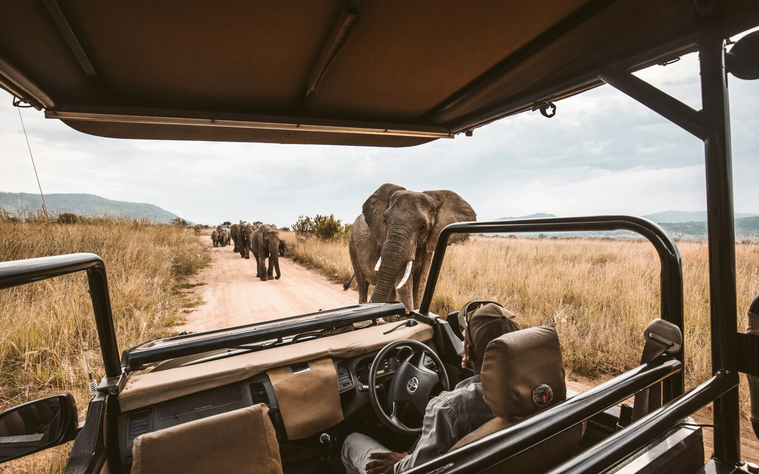 redcharlie-nf7W_hn6DKQ-unsplash