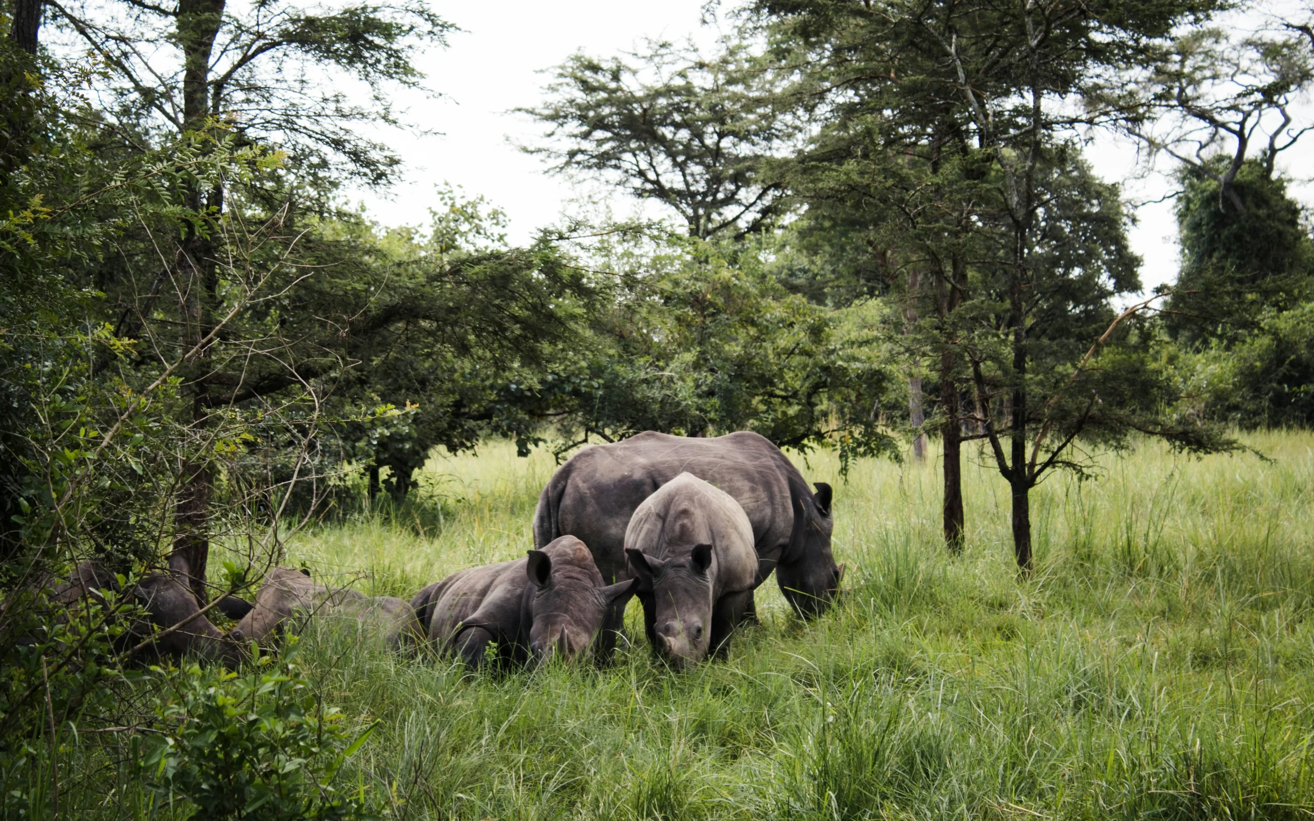 taylor-lee-7j1QAU0ViV0-unsplash