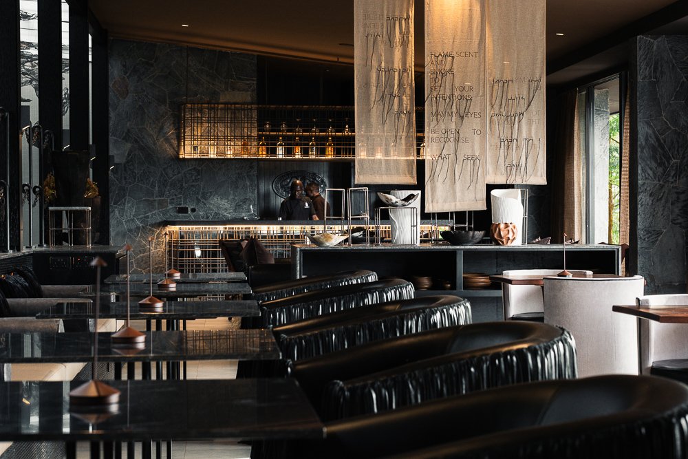 Silverback_Main_Area_LE100038